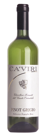 Pinot Grigio IGT