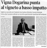 Vigna Contarina